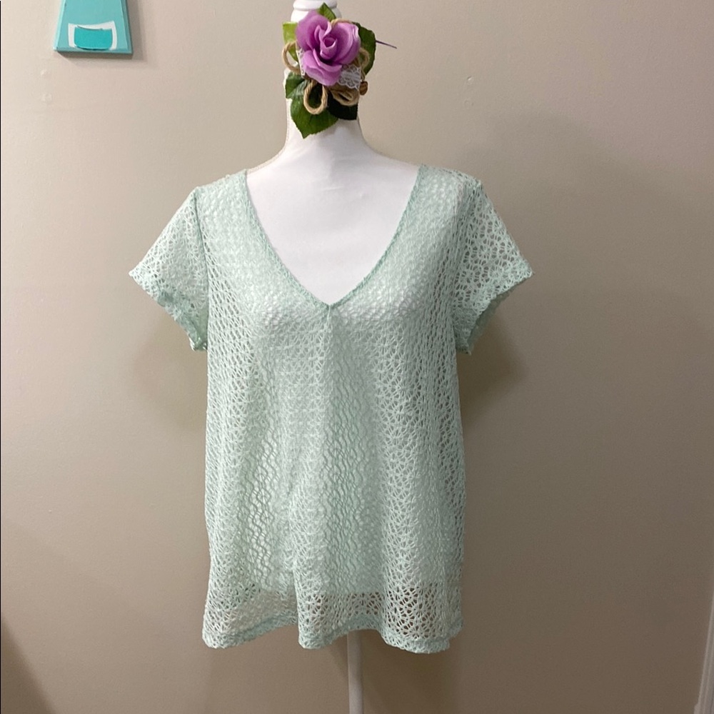Green Relaxed Knit See Thru Top with Short Sleeves